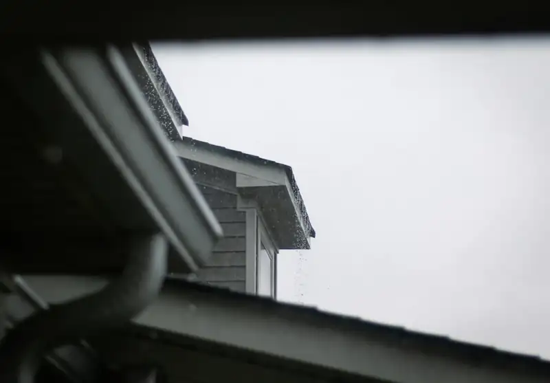 House roof edge and gutter against a grey sky